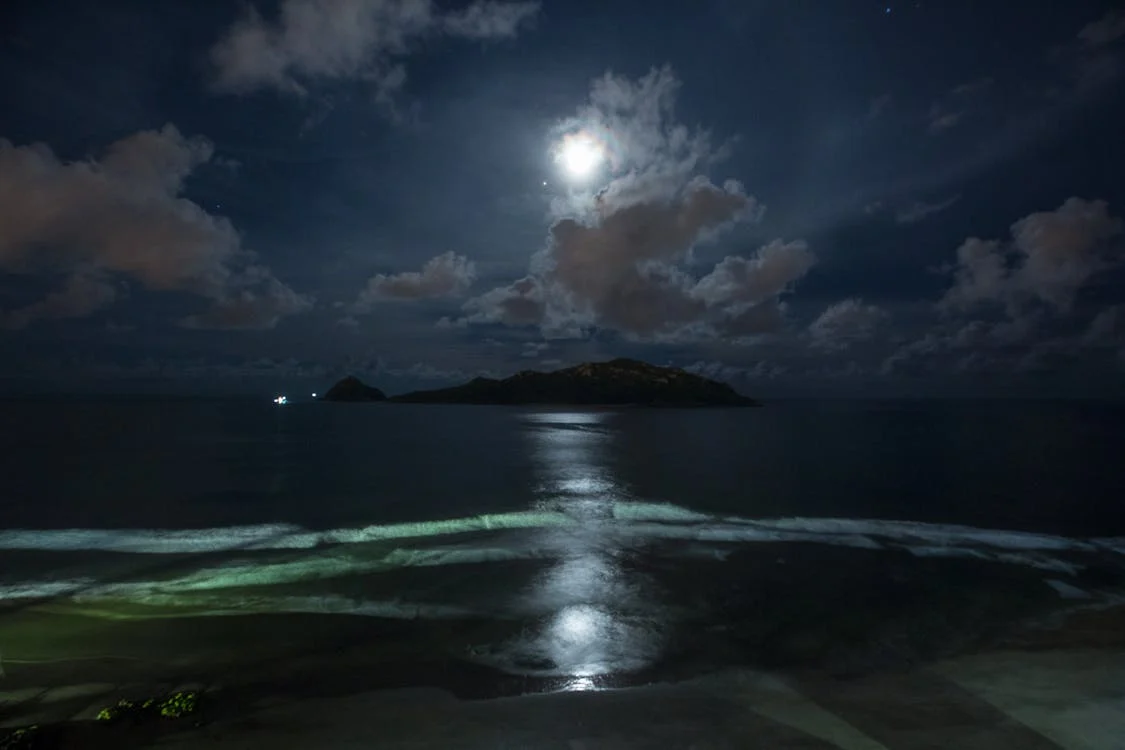 Moon Shines over Sea and Island · Free