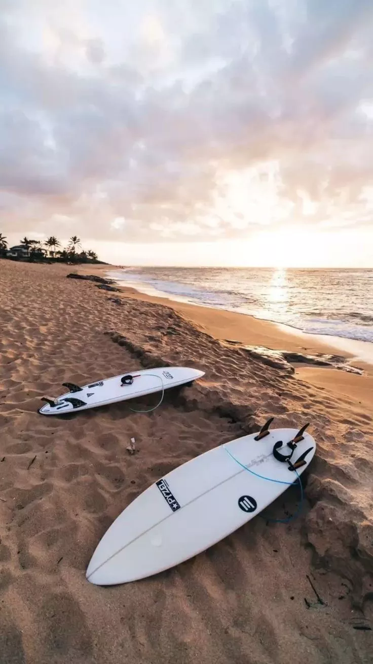 Summer vacation, summer sunset, beach