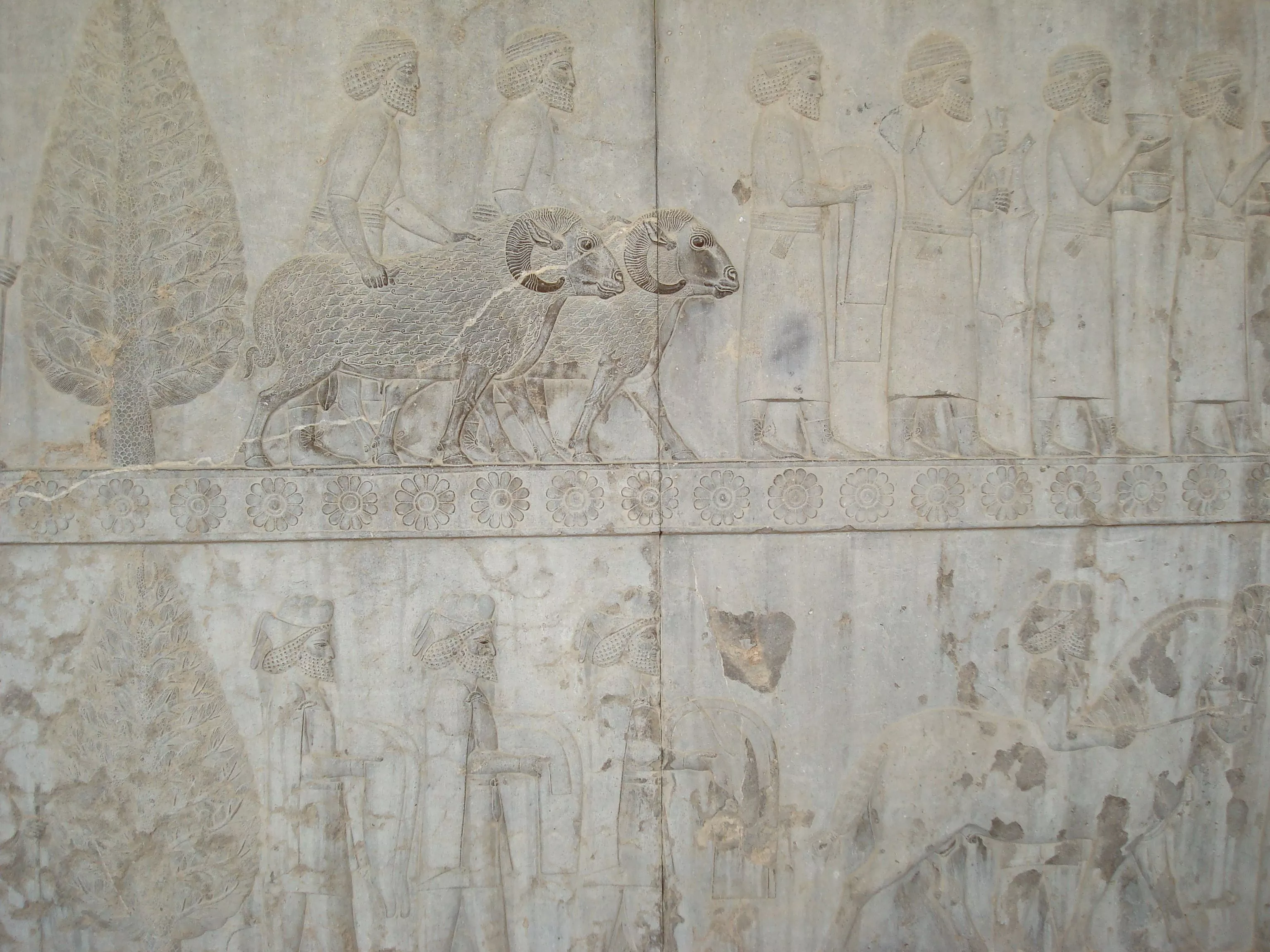 persepolis, persia, iran, shiraz