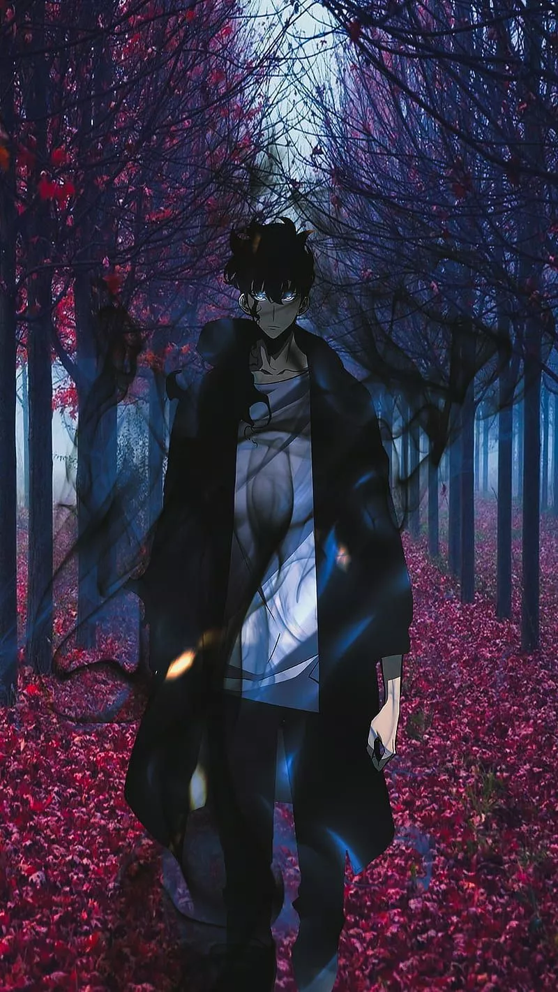 sung jin woo, HD phone wallpaper