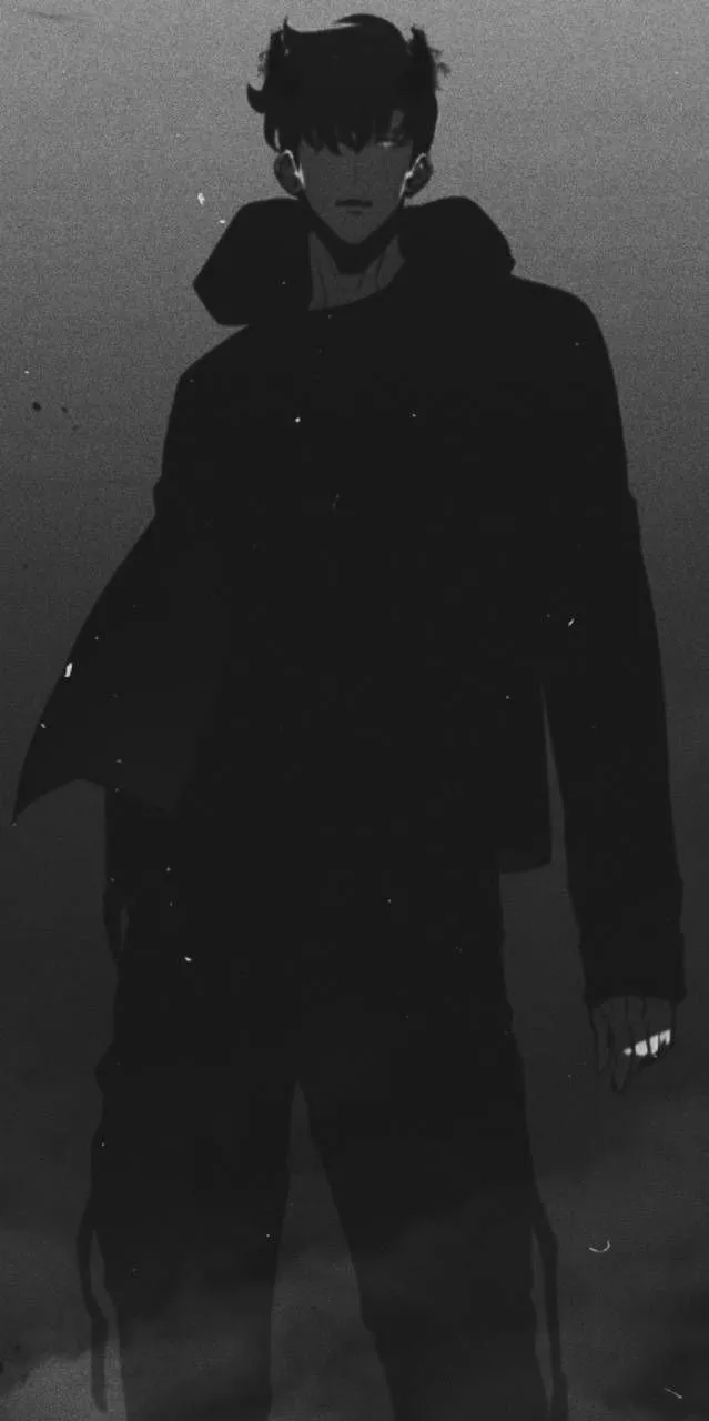 Download wallpaper HD for free and use