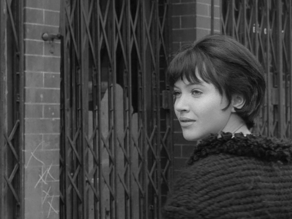 Anna Karina: 1940 2019. Features