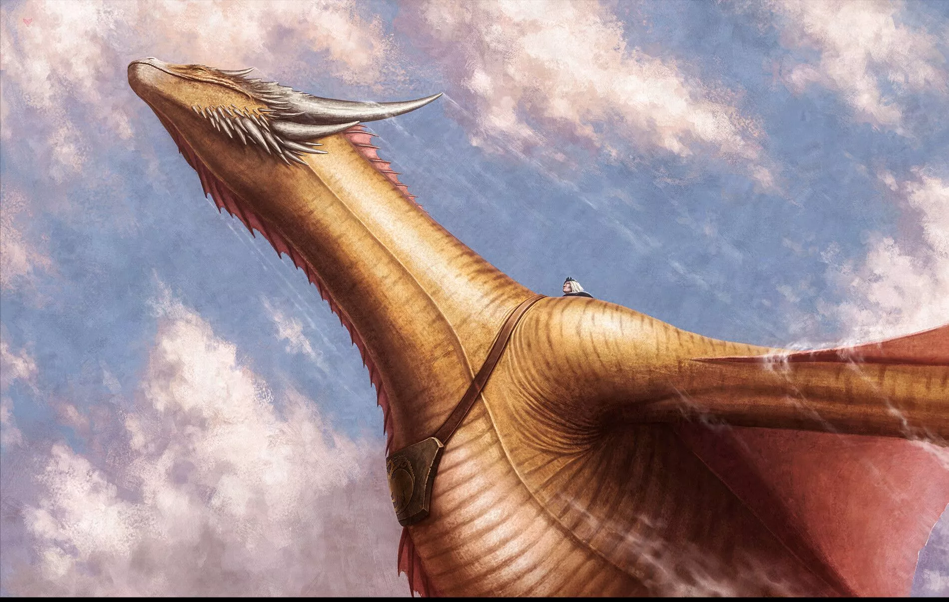 Aegon Targaryen II & Sunfyre