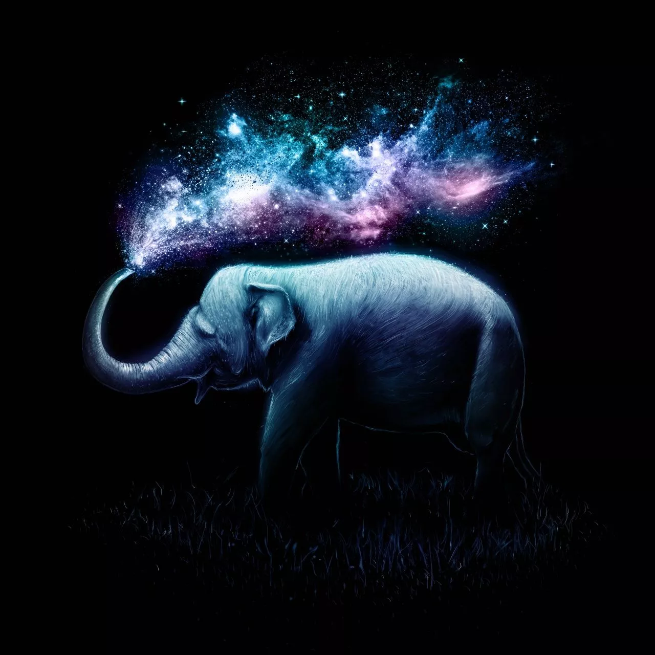 Elephant Wallpaper 4K, Colorful