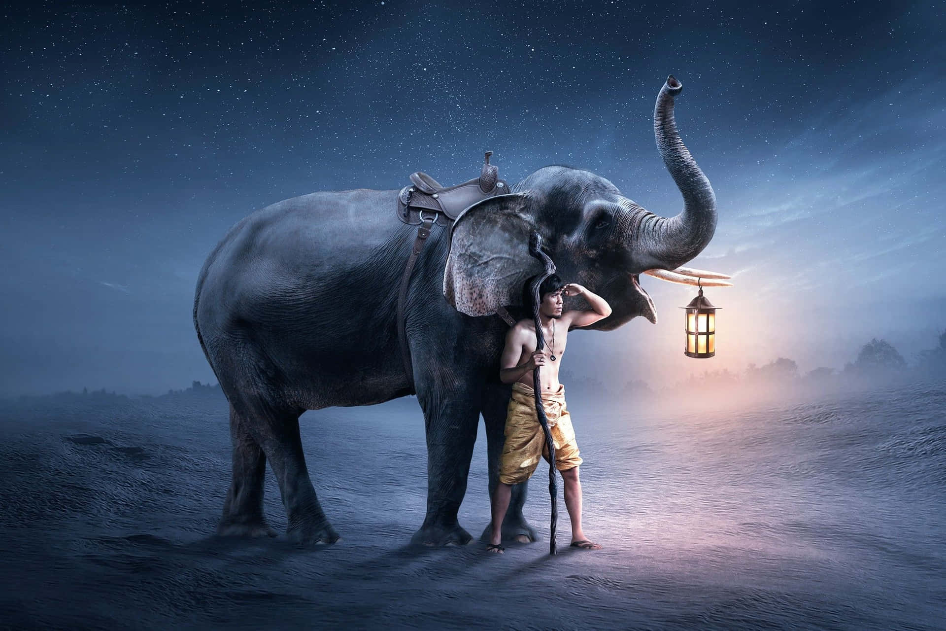 Download Watching the Setting Sun