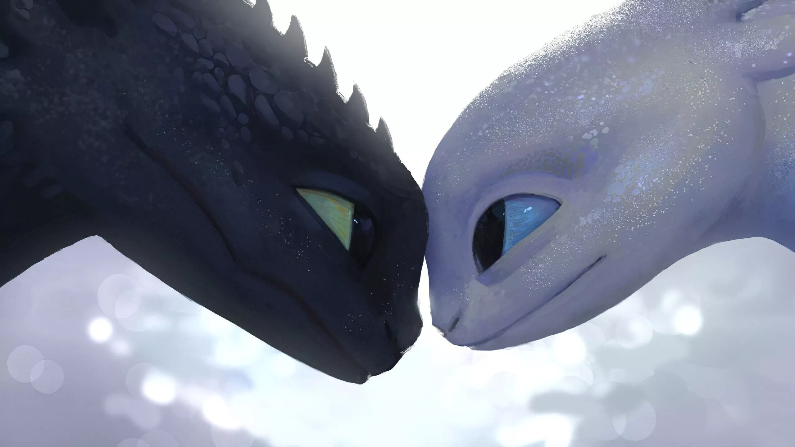 Toothless And Light Fury Close Up Moment, HD Wallpaper