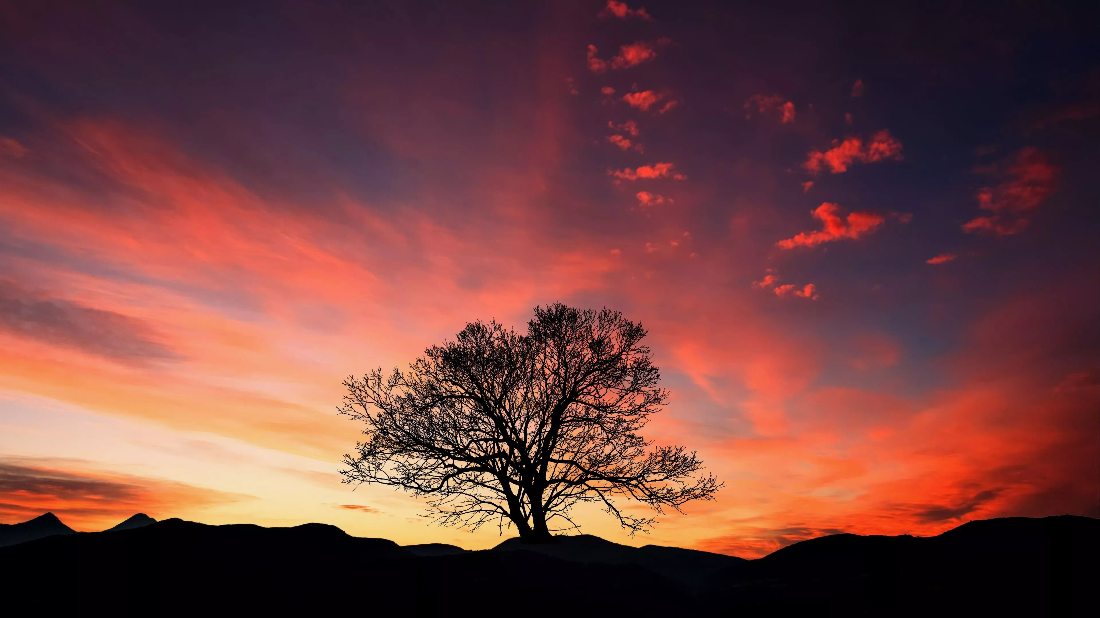 Download wallpaper 3840x2160 sunset