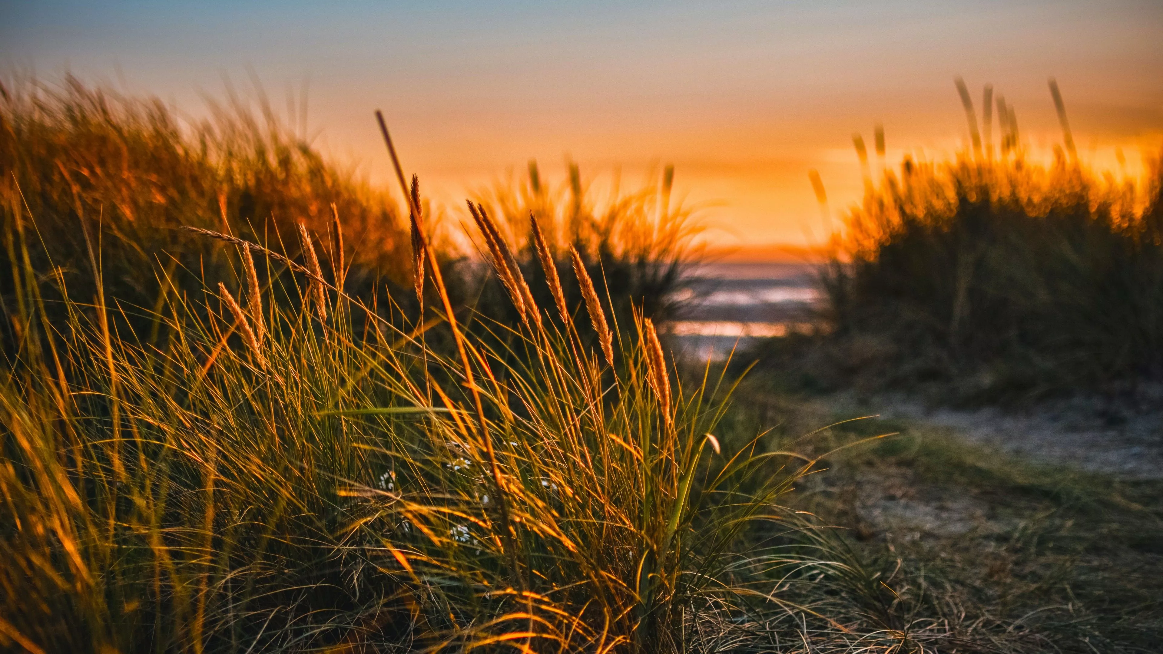 Ocean In Blue Orange Sky Background