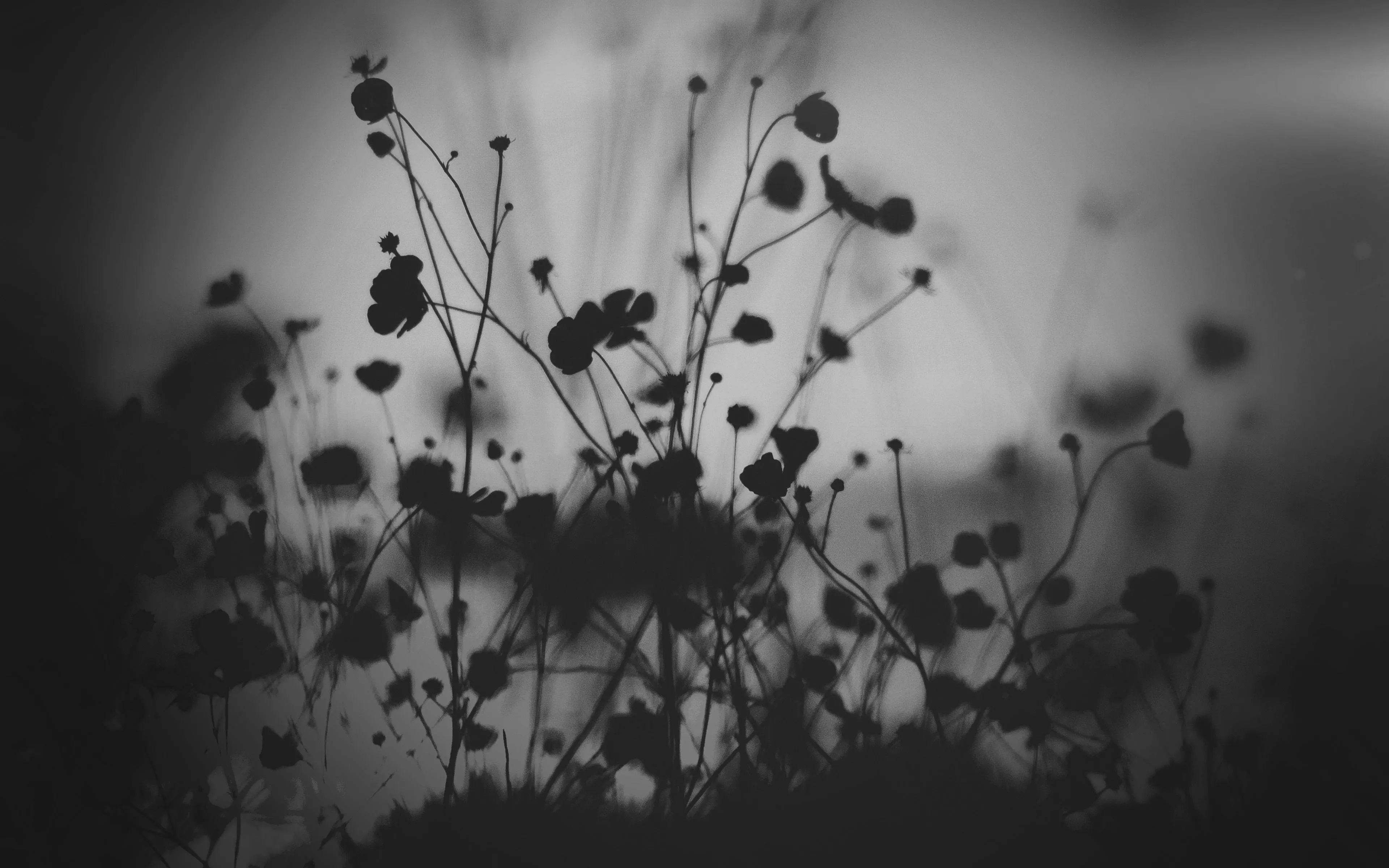 wallpaper for desktop, laptop. mv69