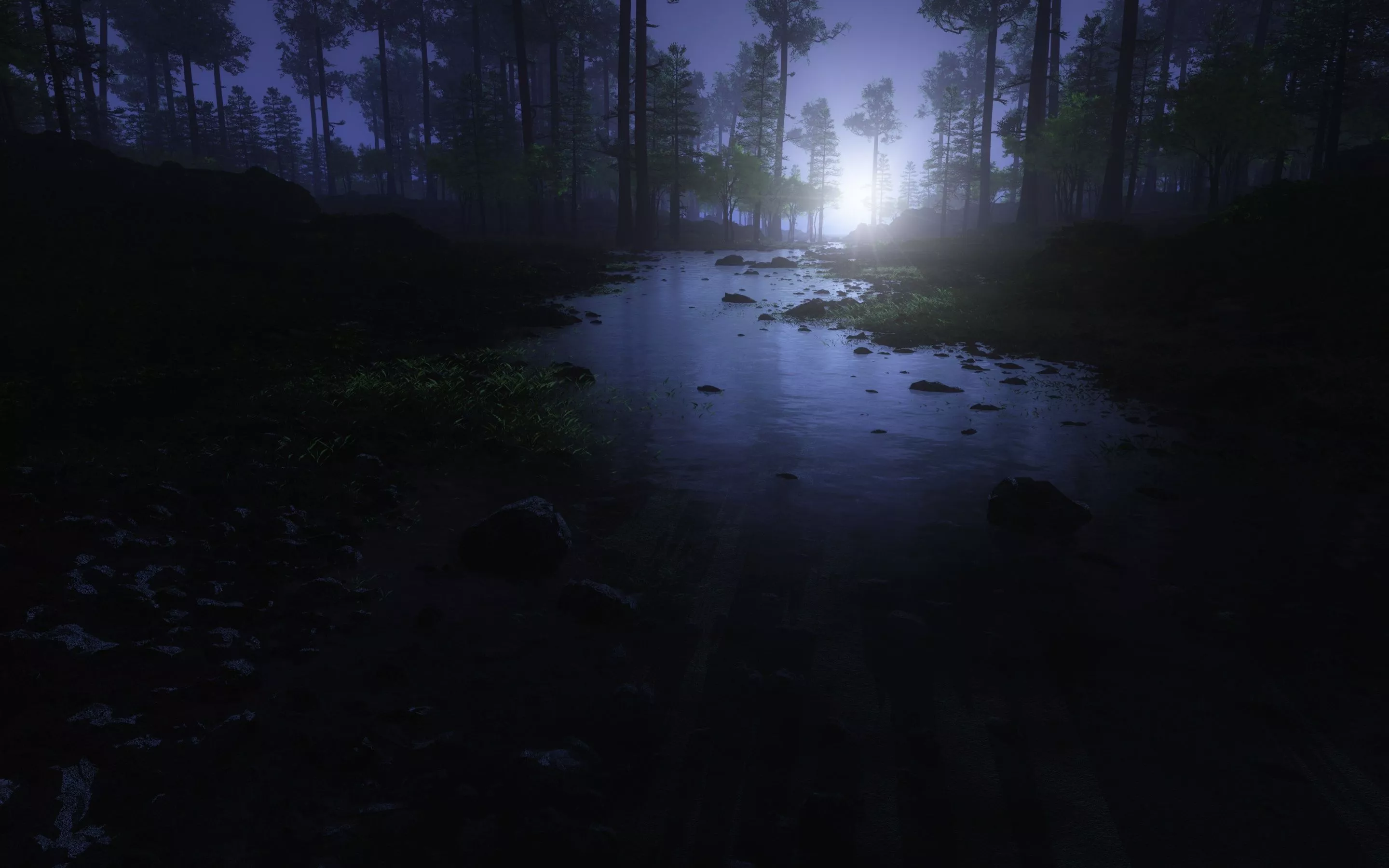 Dark Forest Wallpaper 4K, Water Stream