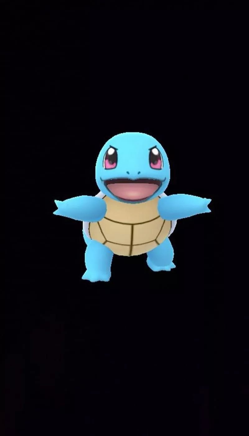 Pokemon, cute, squirtle, turtle, HD