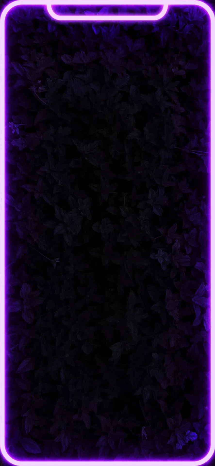Glowing Black And Purple Aesthetic