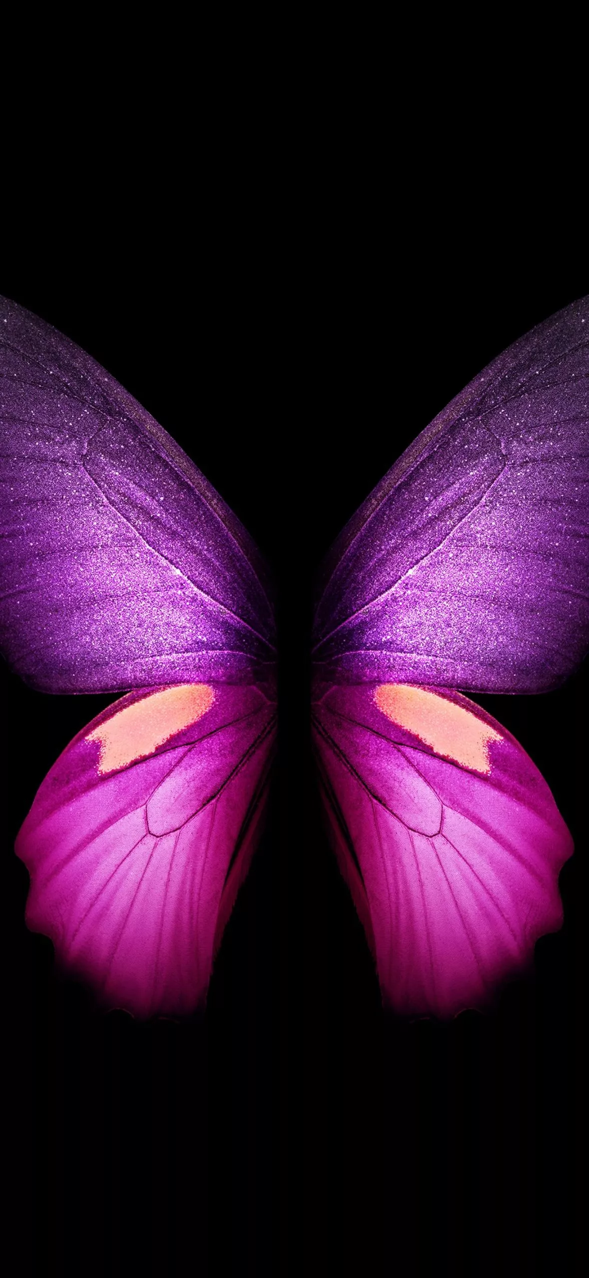 Purple Butterfly Wallpaper 4K, Wings