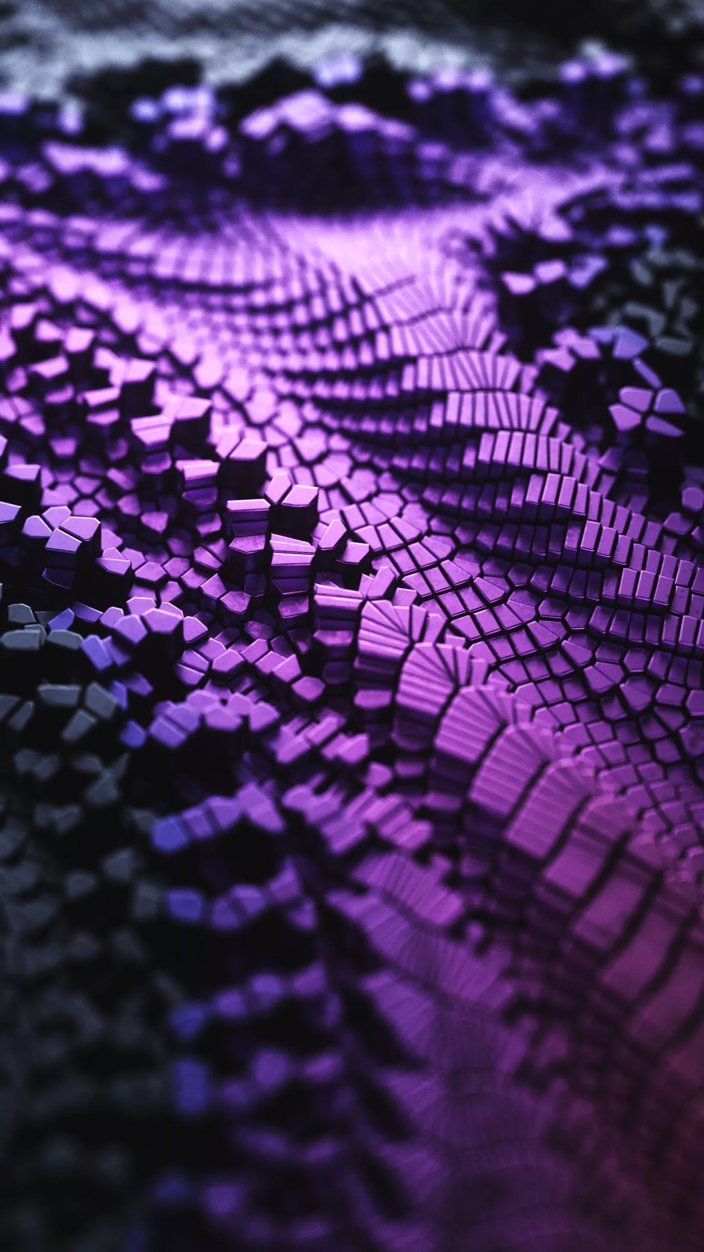 3D Black Purple Macro Surface