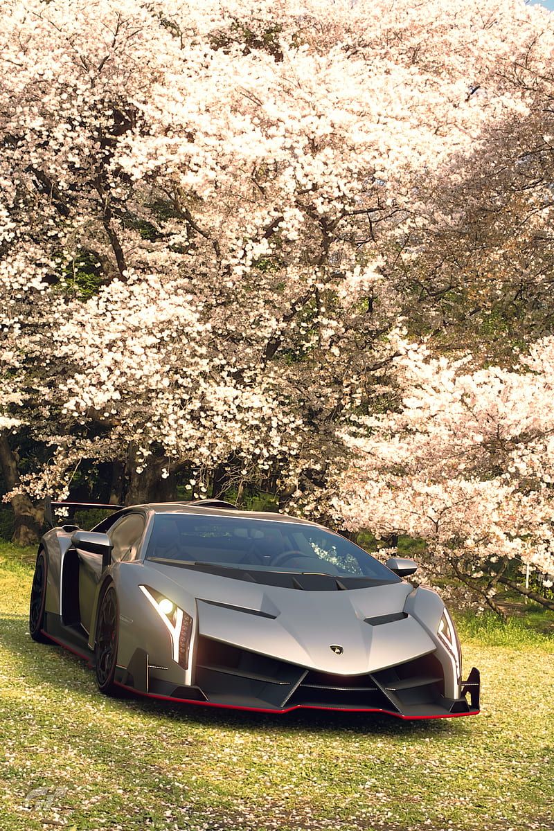 Lamborghini Veneno, super, HD phone
