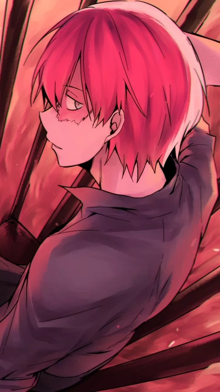 Download Shoto Todoroki Anime My Hero