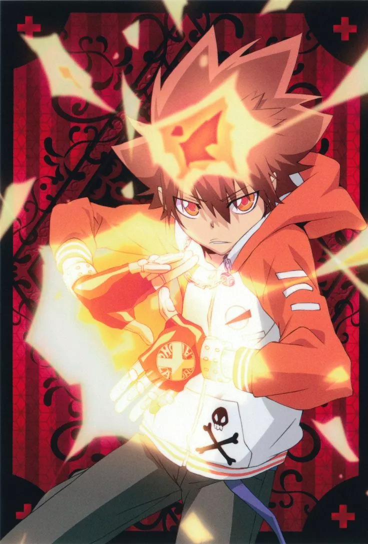Sawada Tsunayoshi Hitman