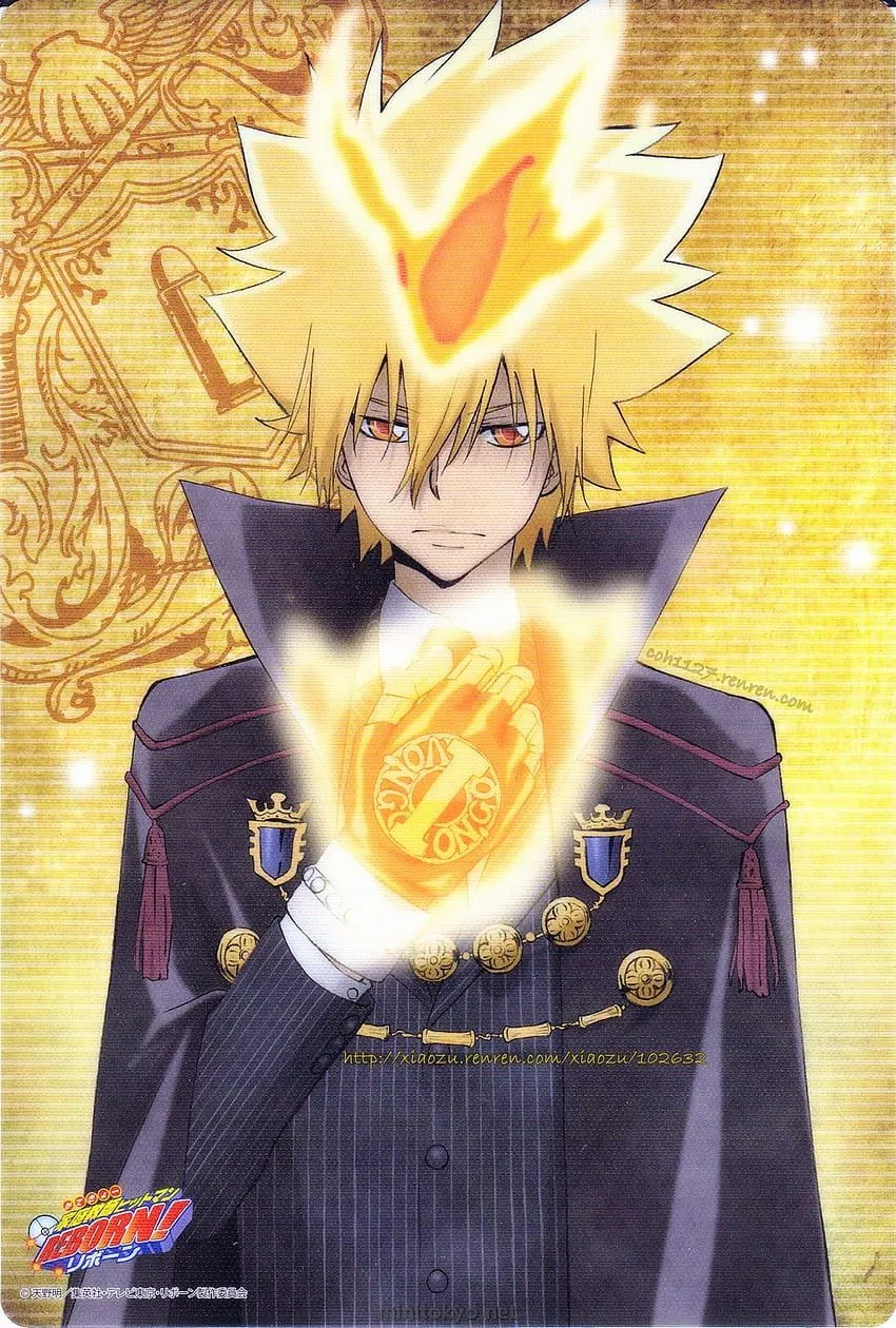 KATEKYO HITMAN REBORN Giotto Cape Ver