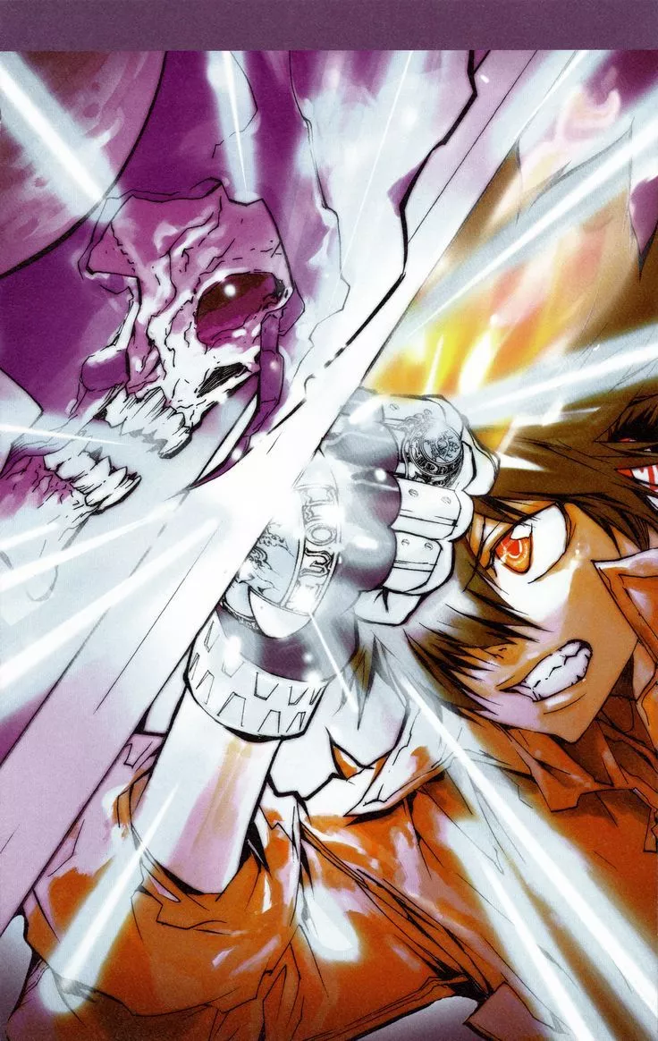 Katekyo Hitman REBORN! Akira