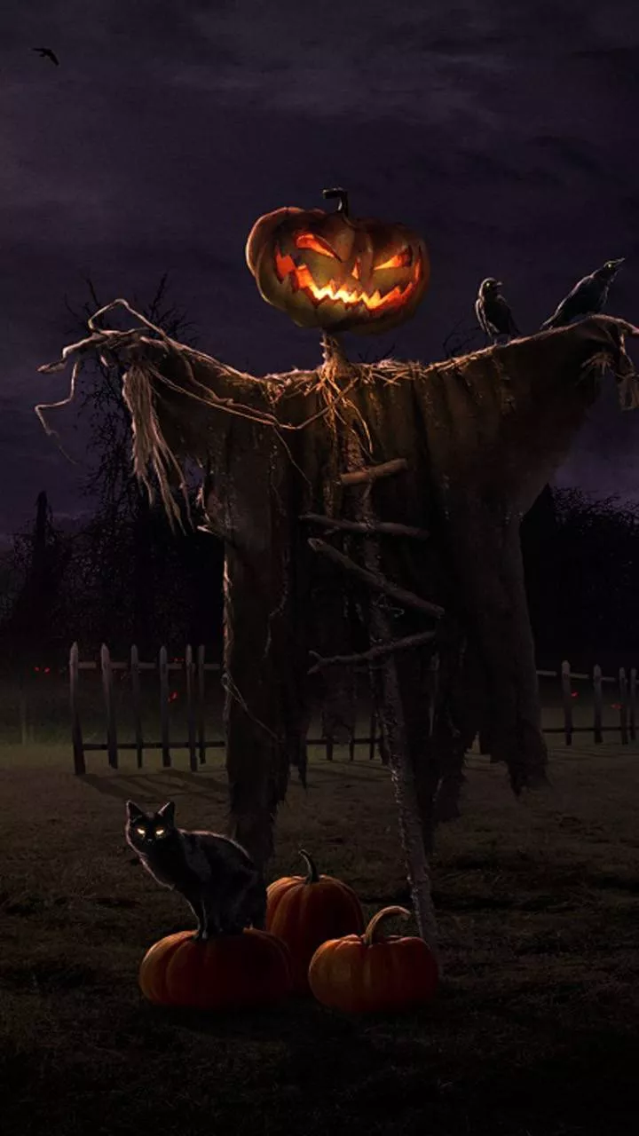 Phone wallpaper: Halloween, Scarecrow, Holiday, Jack O' Lantern 1326817