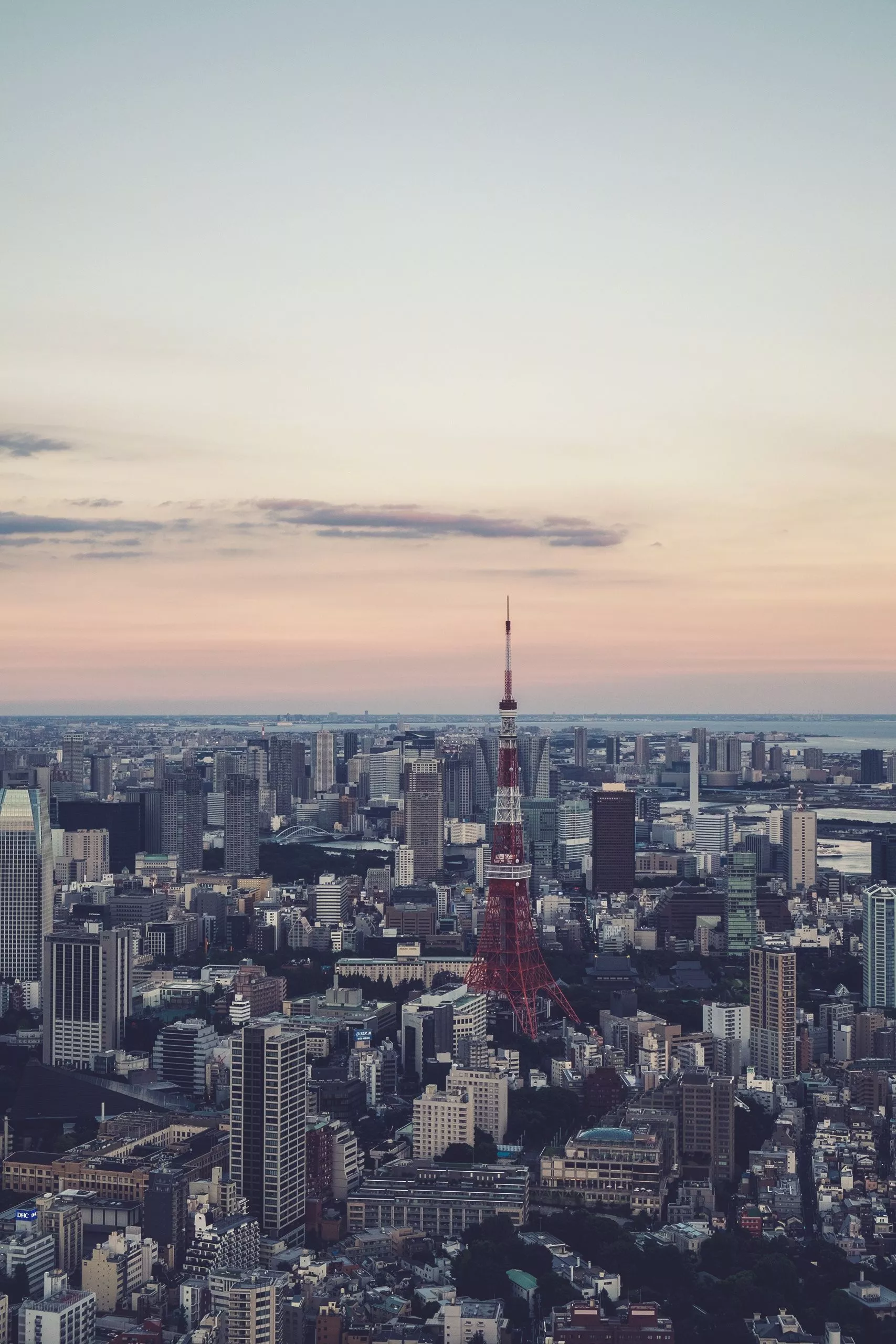 Skyline and City View of Tokyo image