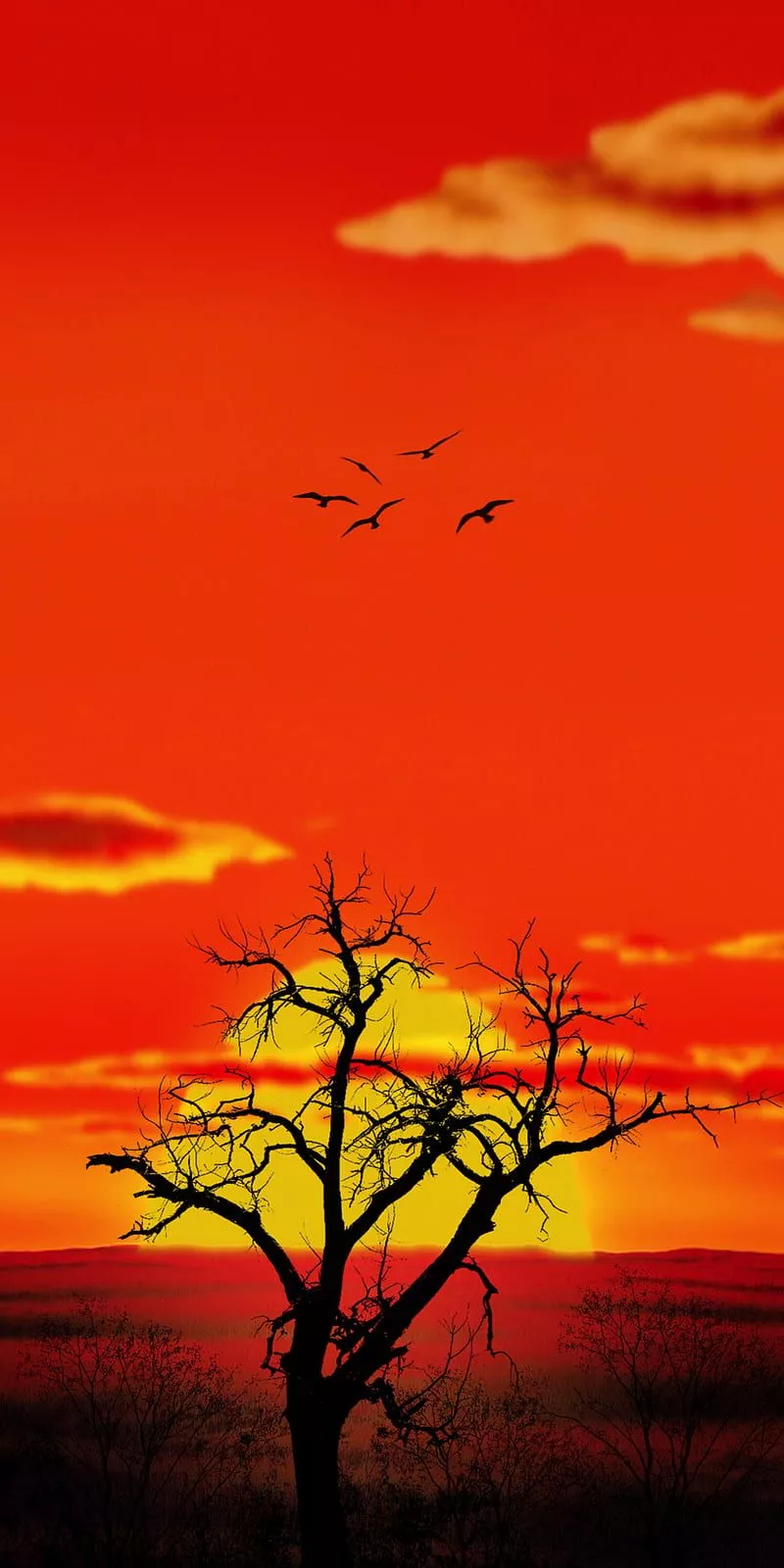 Savannah sunset, animal, huawei, iphone