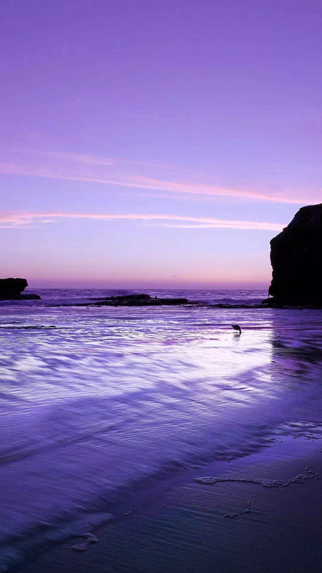 iPhone 11 Purple Beach HD Wallpaper