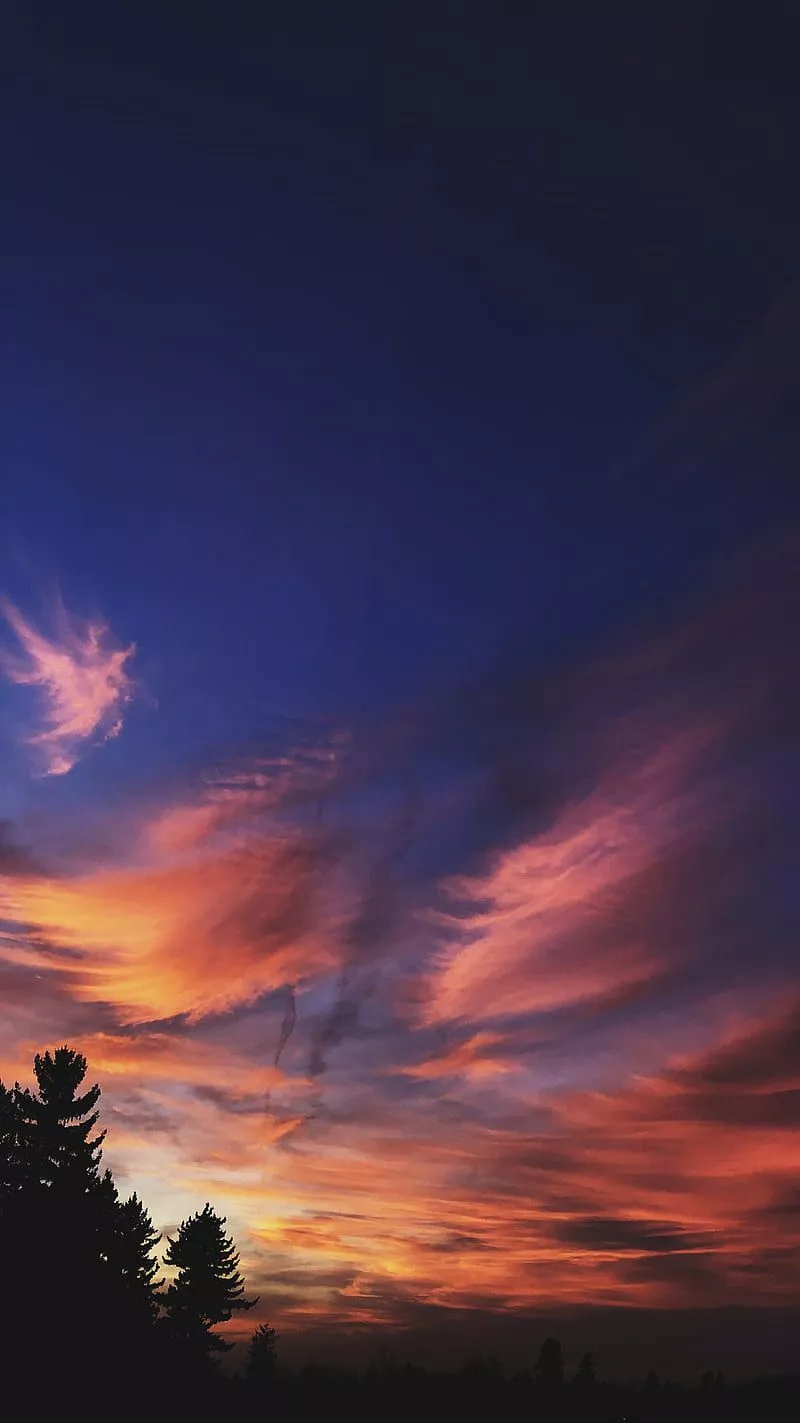 IPhone 11, galaxy, nature, note 10, s10