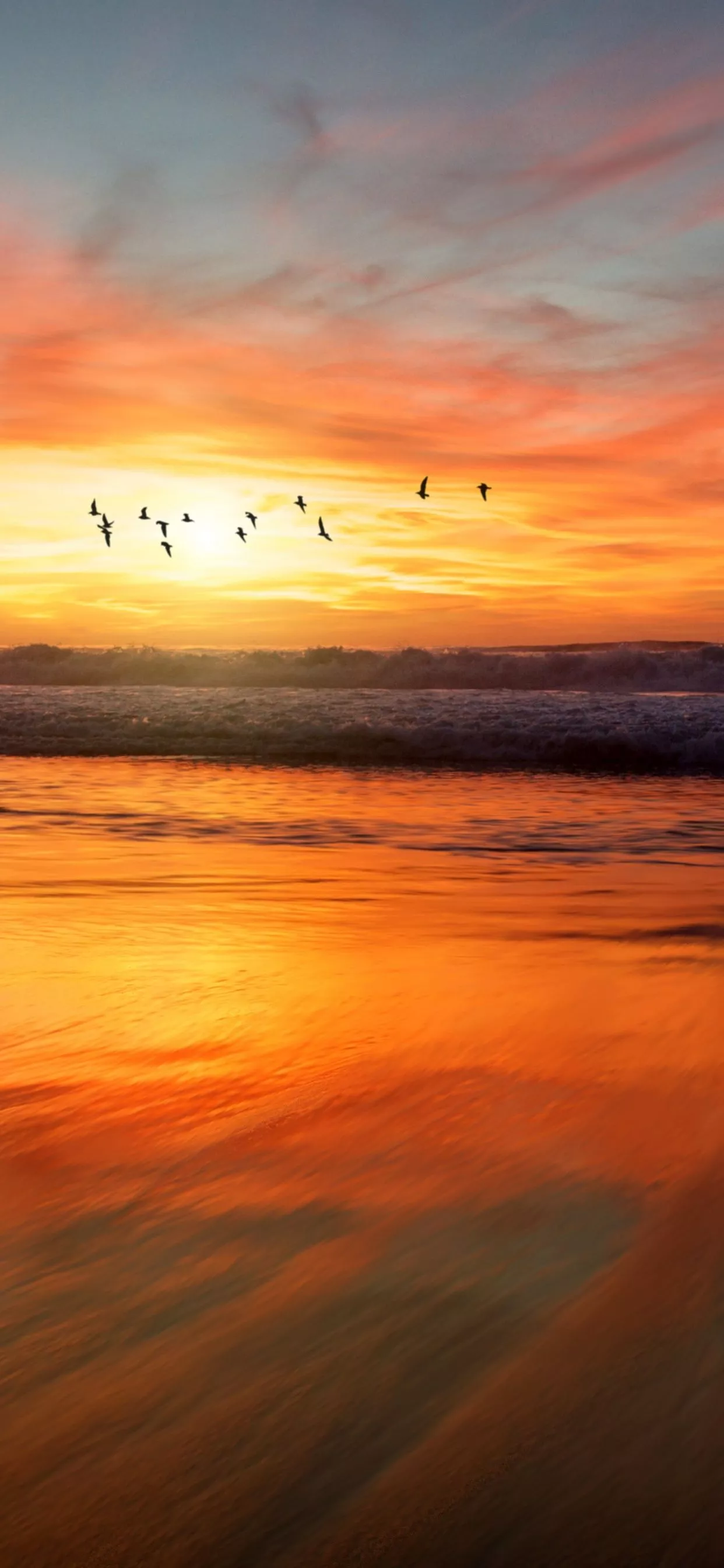 Beach Wallpaper 4K, Sunset, Flying