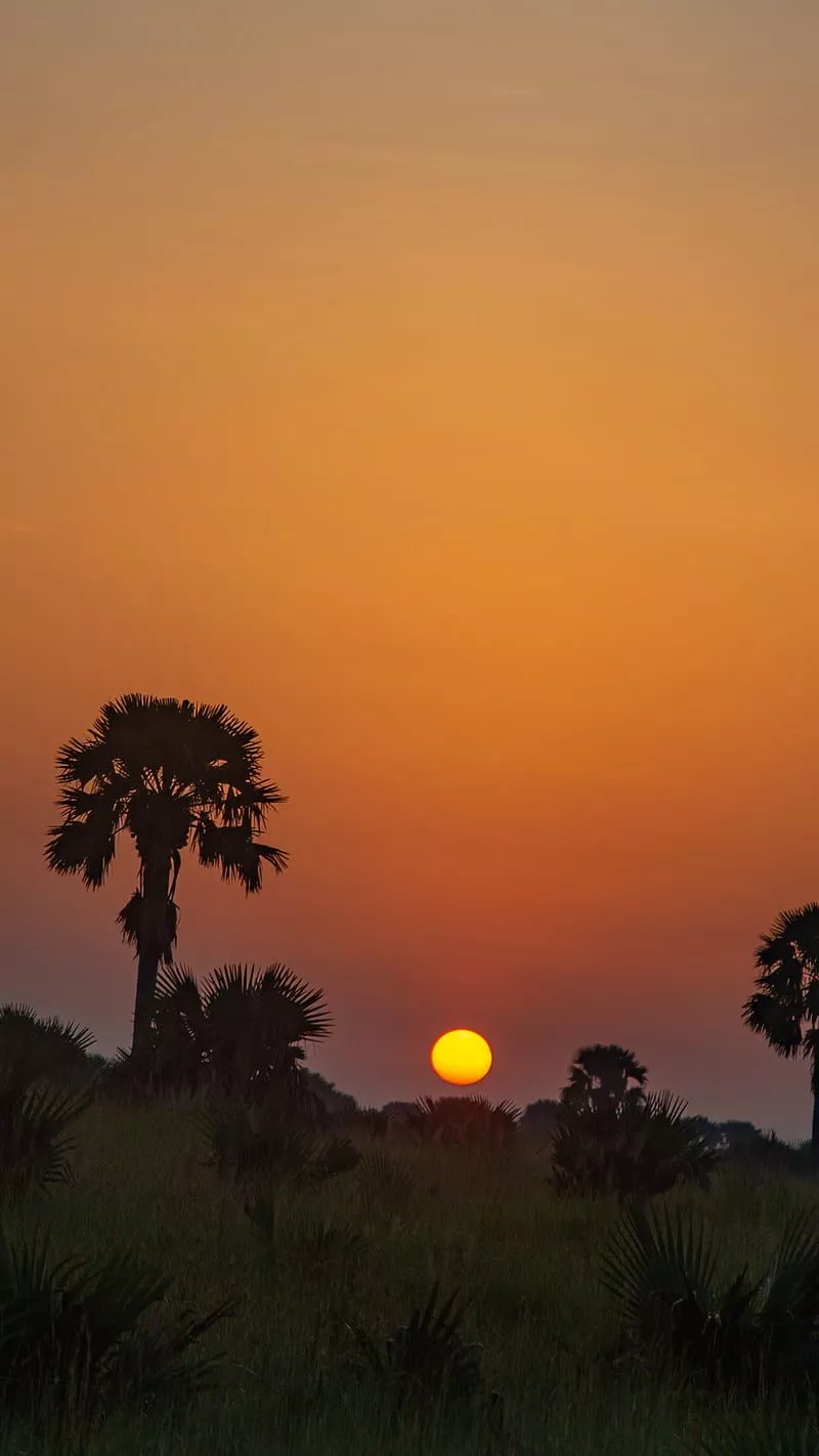 Sunrise, google pixel, iphone, iphone