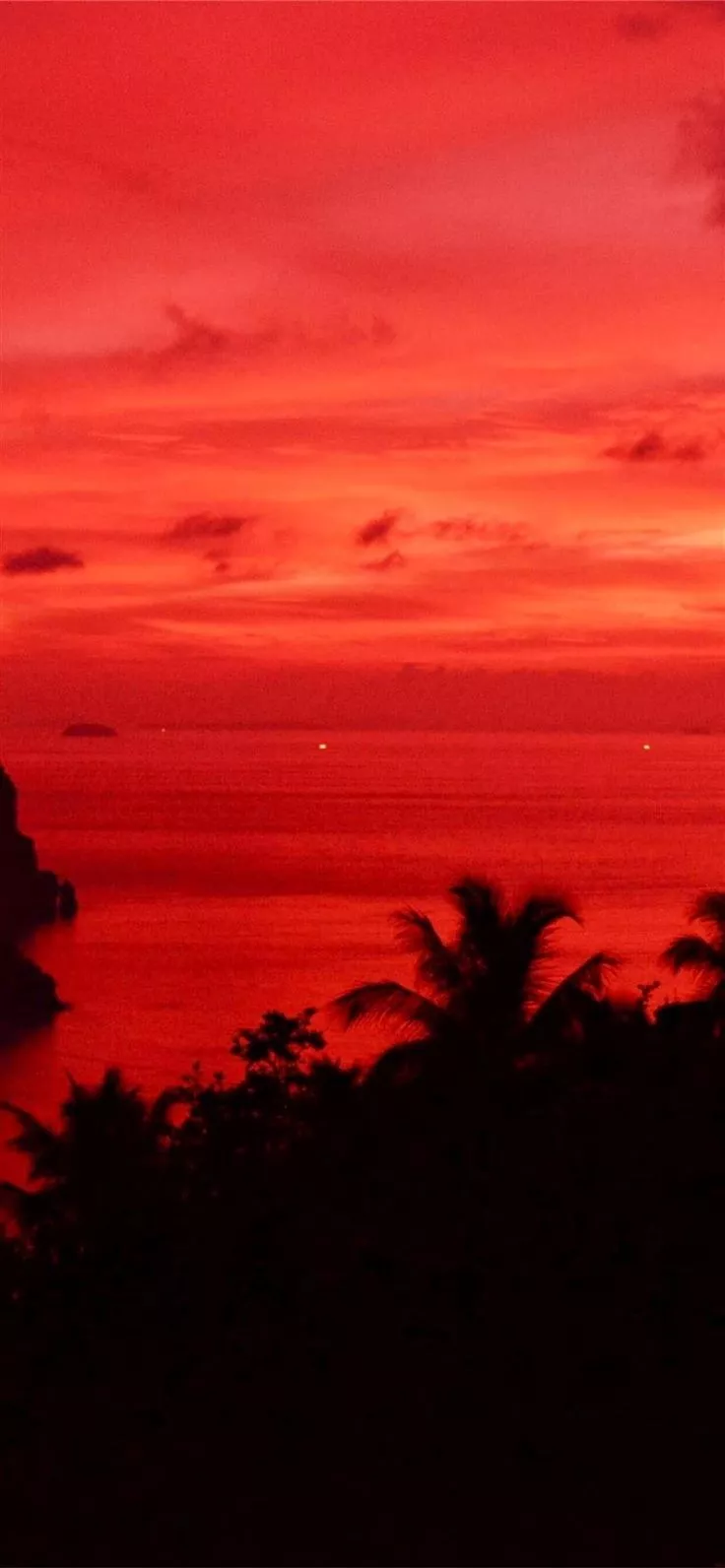 sunset sky tree dusk landscape iPhone