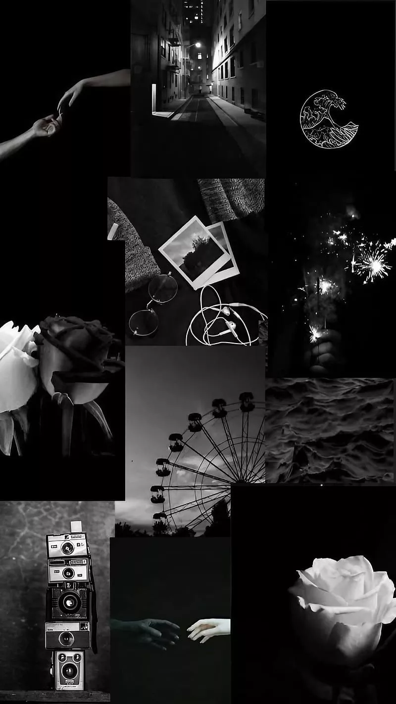 Black And White Aesthetic, White Roses