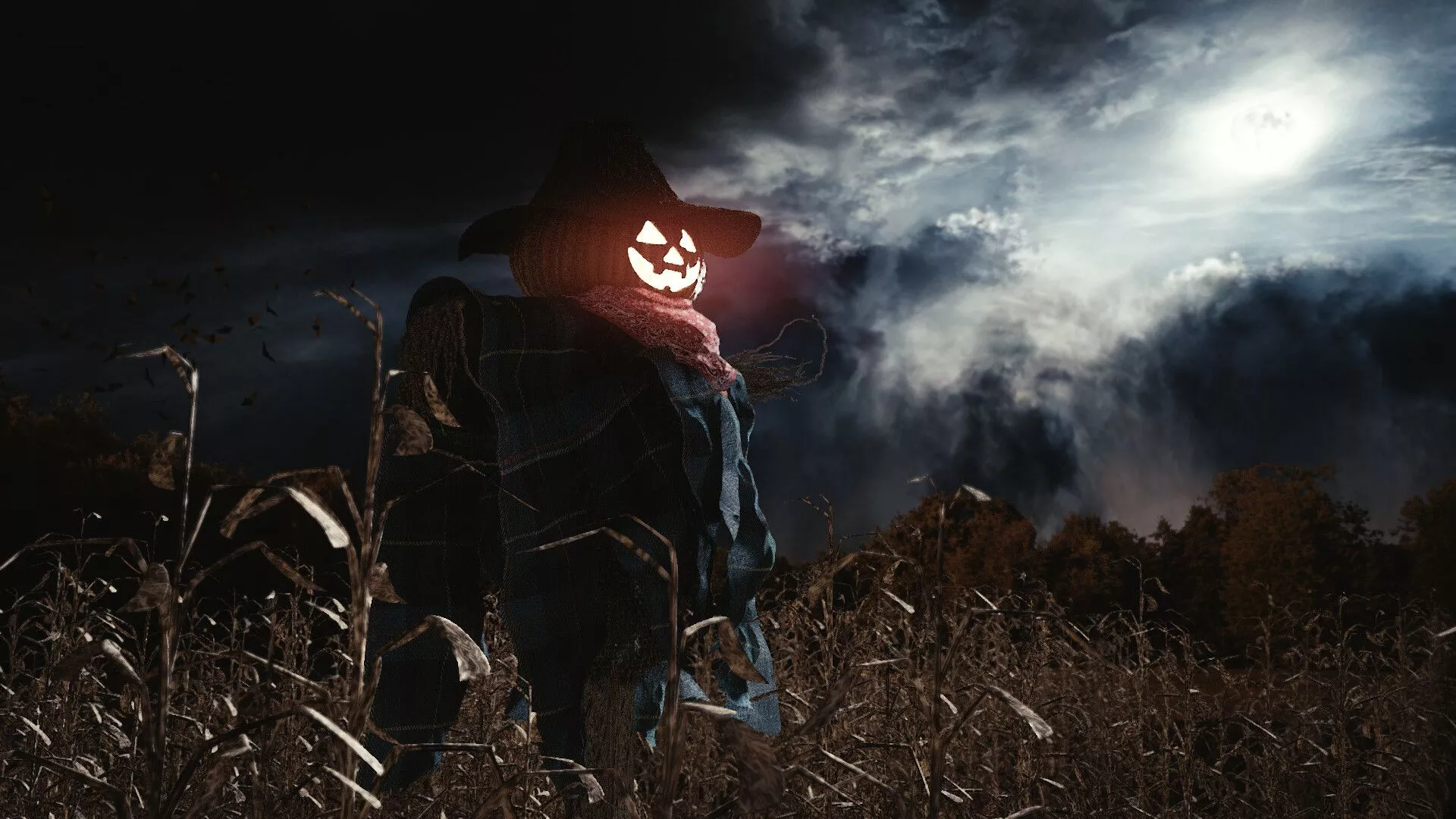 Scarecrow in Cornfield