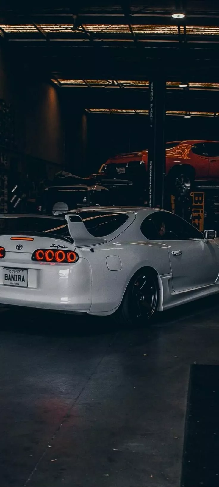 White supra