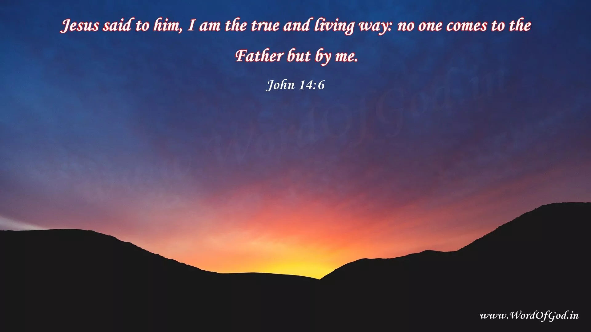 Book of John of the version BBE Bible