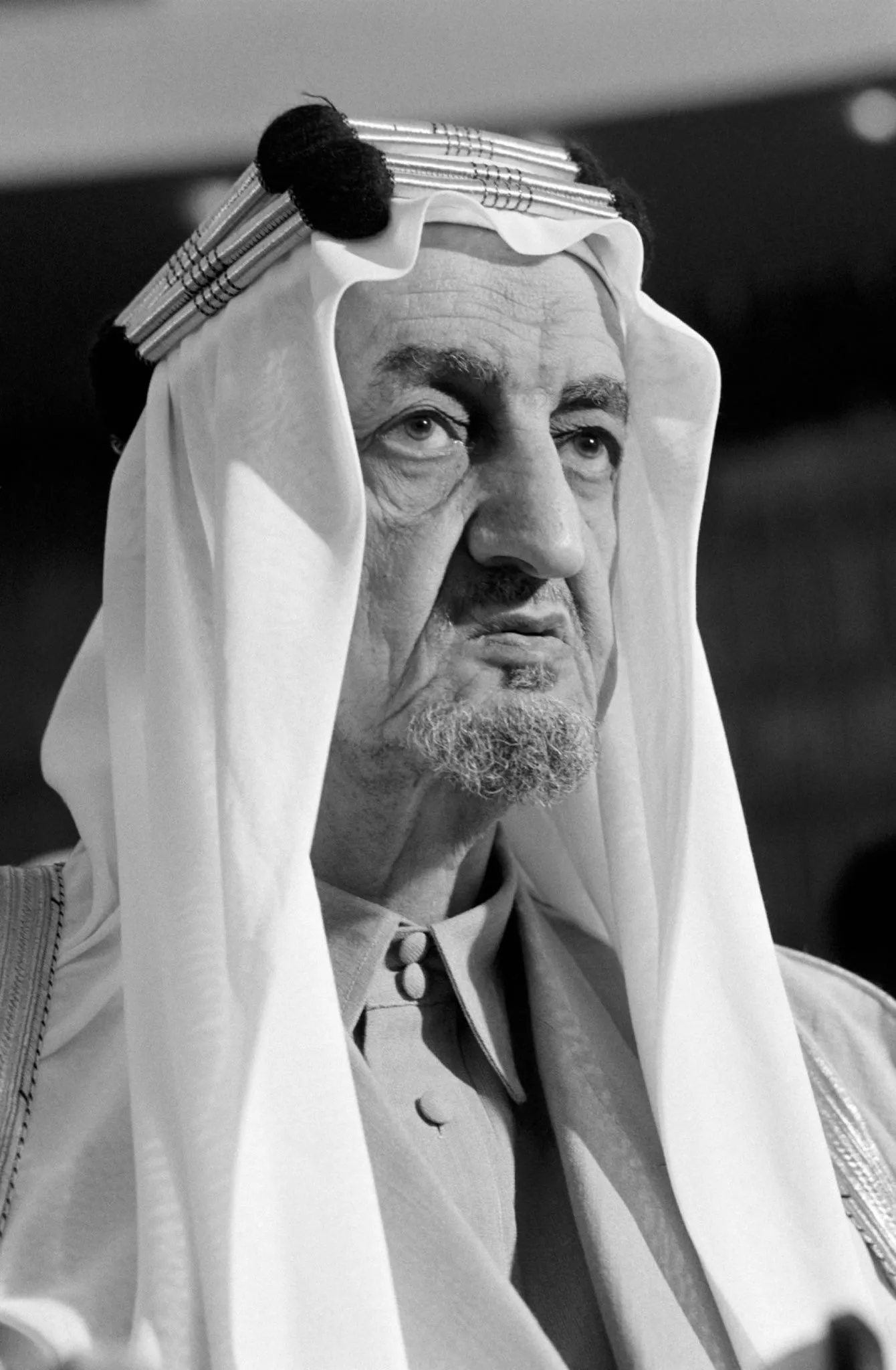 أَبْلَق. - الـفيصـل