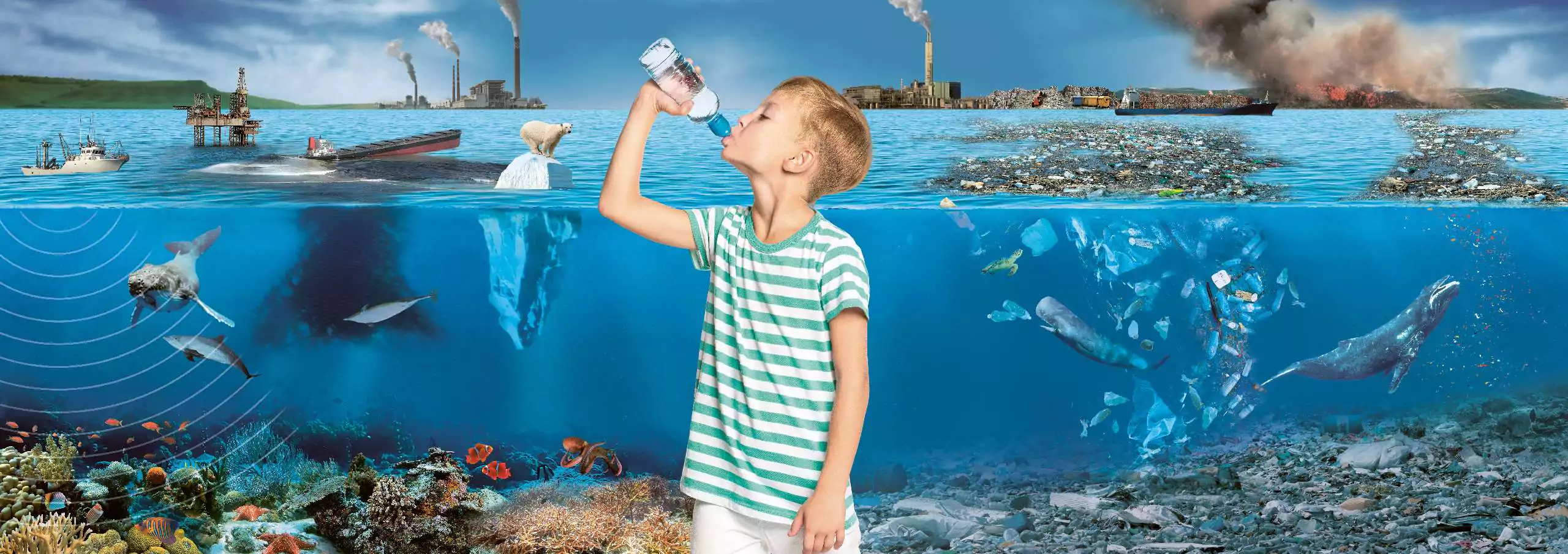 OceanCare: Plastic pollution long