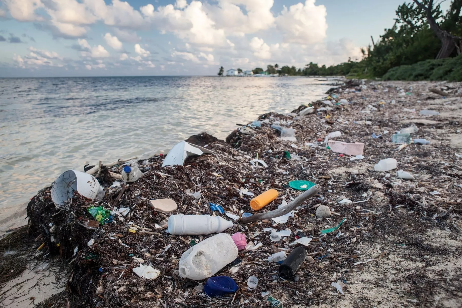 The Problem of Marine Plastic Pollution