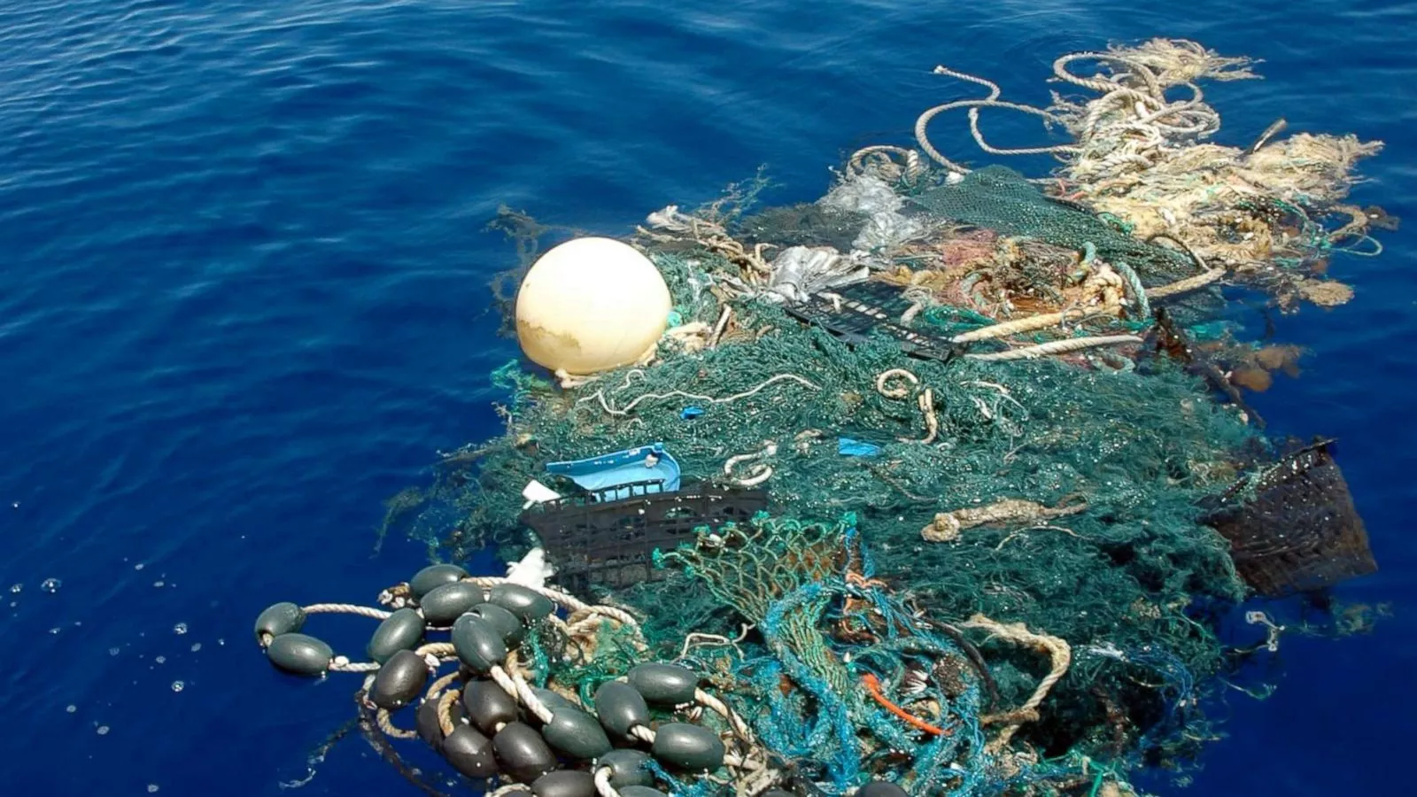 World Ocean Day 2019: Ocean plastics