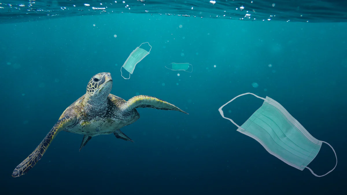 How plastic pollution in our oceans is