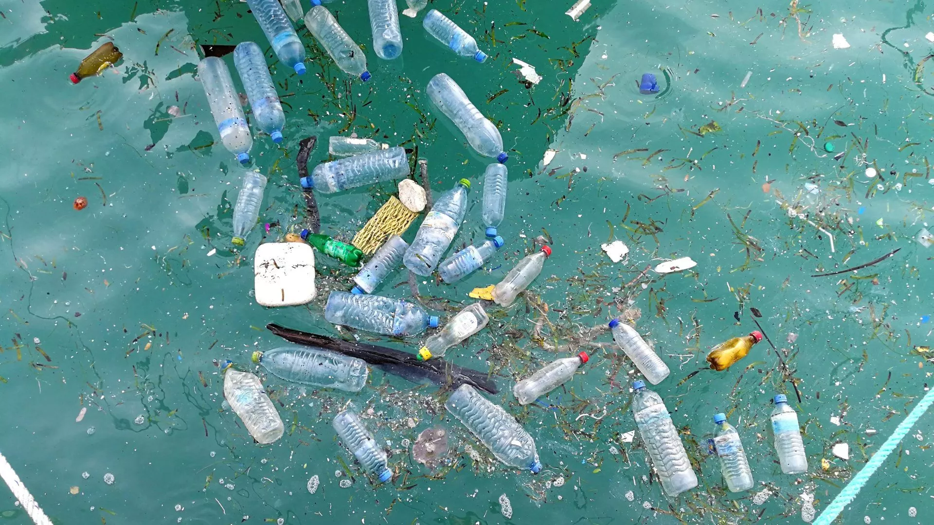 Plastic pollution: facts & figures