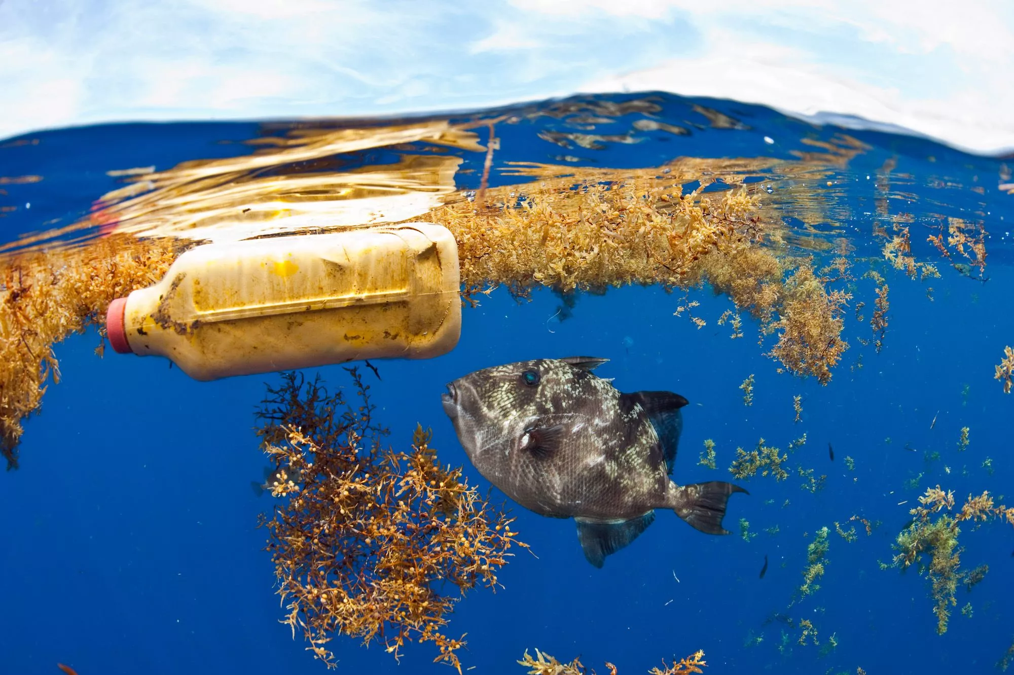 One Bottle at a Time