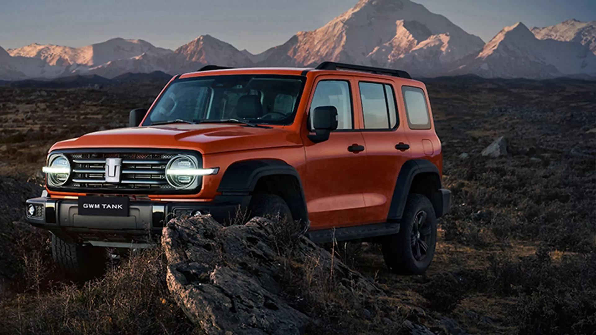 Tank 300 Wall Motor Company