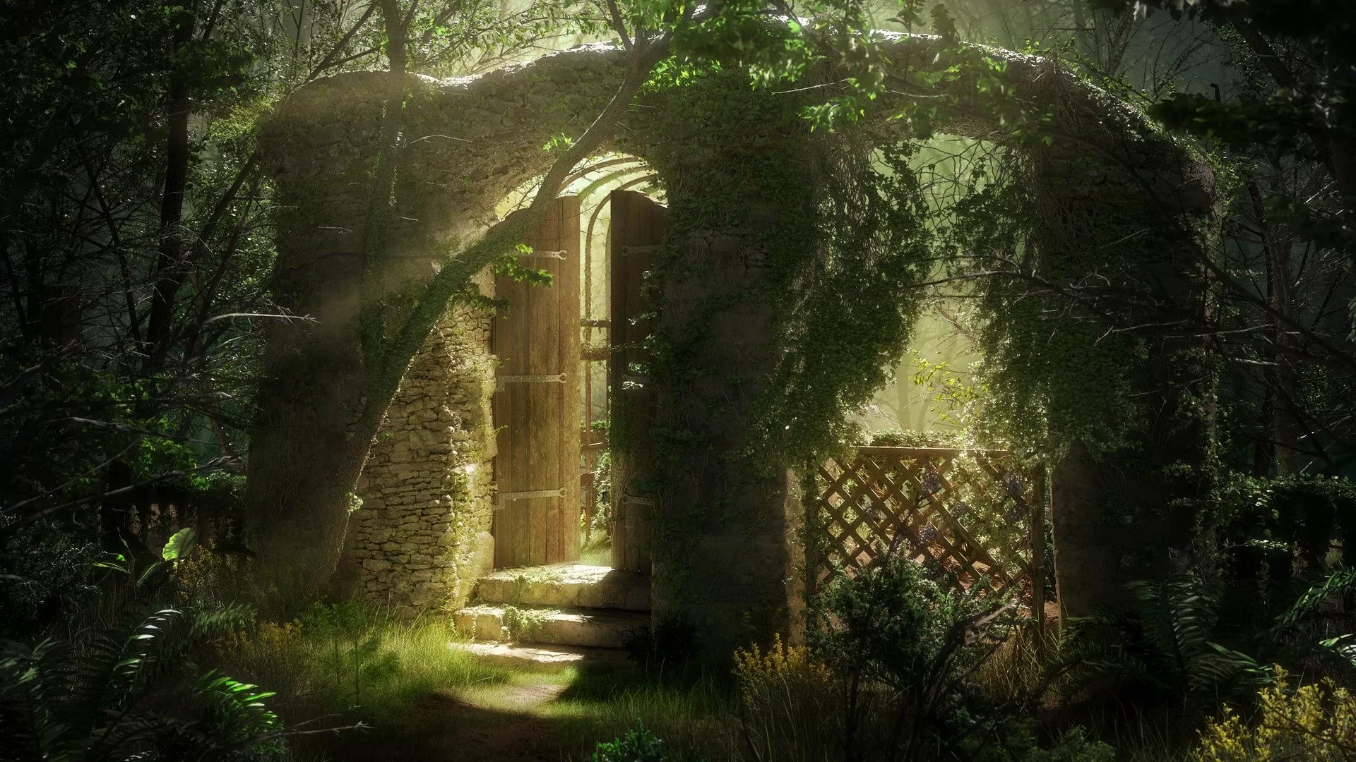 Wallpaper light, vegetation, arch