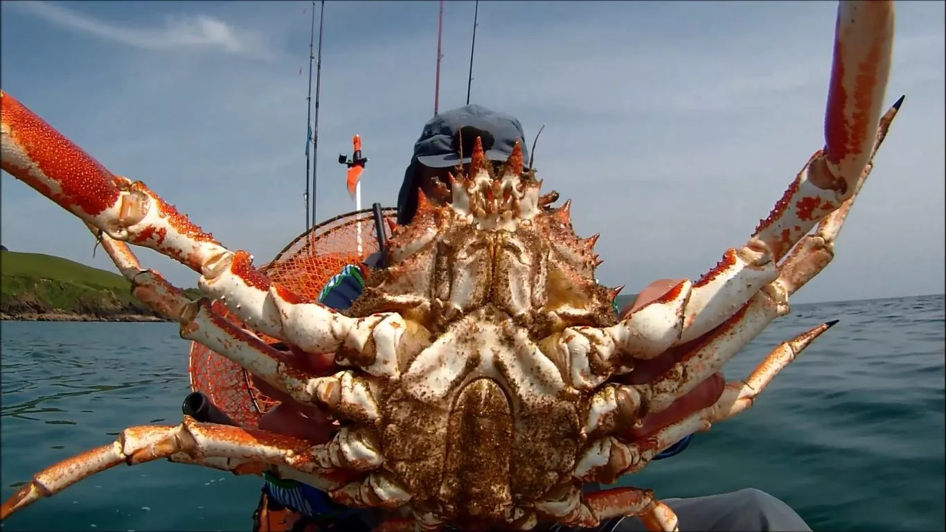 Kayak Fisherman: Catch, Dispatch, Cook