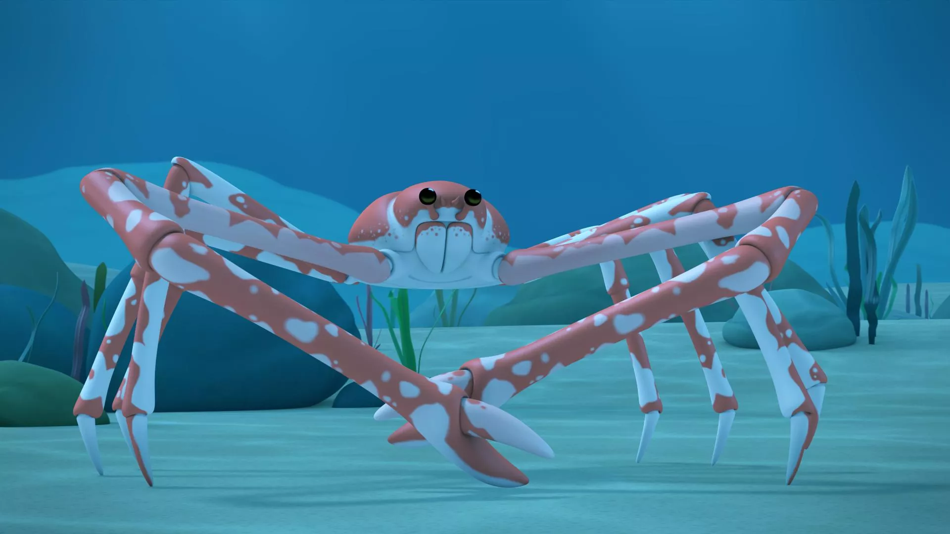 The Japanese Spider Crab