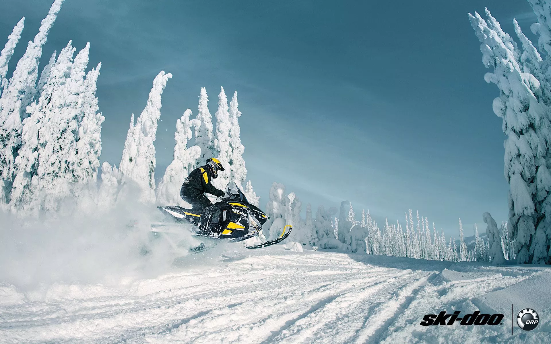 Wallpaper forest, snow, sport, sport