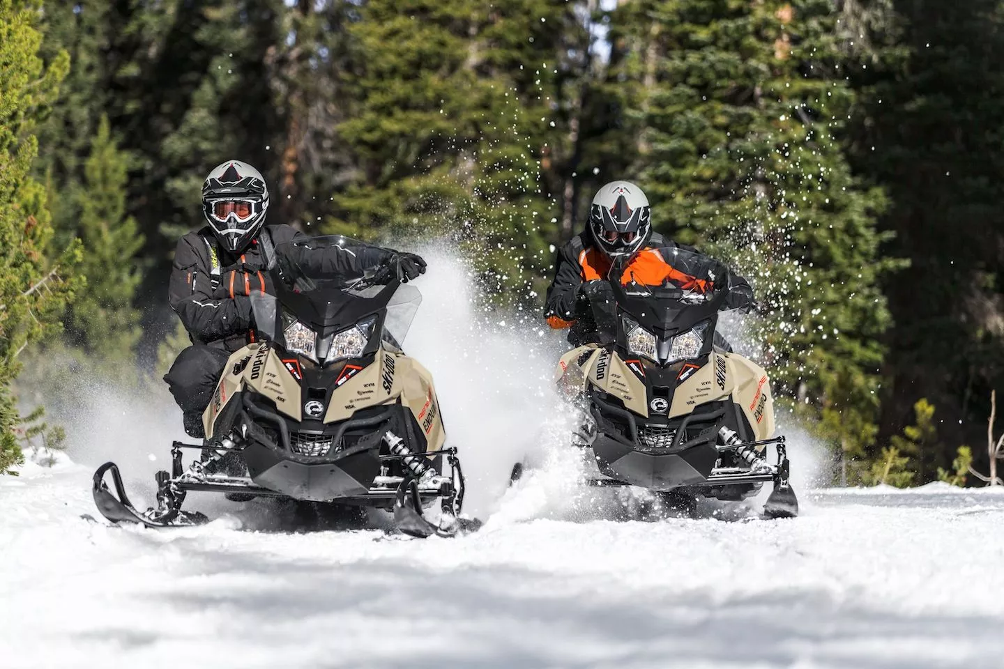 Ski Doo Renegade Enduro Product Review