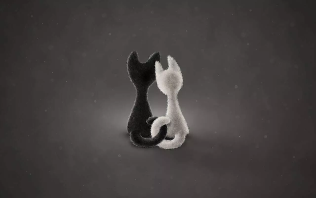 Black Cat White Cat (Color 2) · Vlad.studio