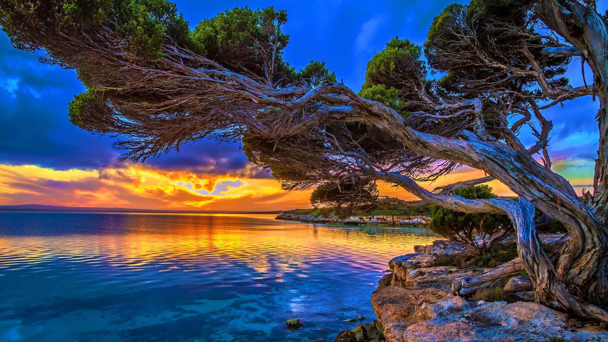 Above Ocean at Sunset Wallpaper